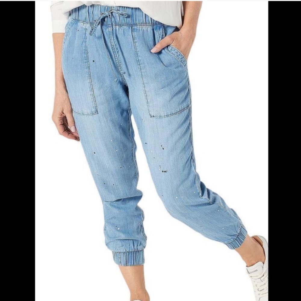 QVC Side Stitch TENCEL Lyocell Lightweight Jogger Pant Plus Size Petite 4X
